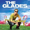The Glades on Random TV Shows Canceled Before Their Time
