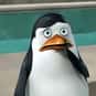 Private is listed (or ranked) 26 on the list The Best Bird Characters In Cartoons And Comics