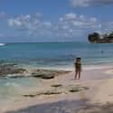 Barbados on Random Best Cruise Destinations
