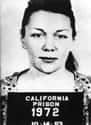 Barbara Graham on Random Famous American Criminals Who Were Executed