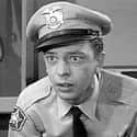 The New Andy Griffith Show, The Andy Griffith Show, The Joey Bishop Show   Bernard "Barney" Milton Fife is a fictional character in the American television program The Andy Griffith Show, portrayed by comic actor Don Knotts.