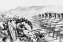 Battle of Plataea on Random Important Battles From History That Nobody Talks About