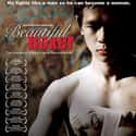 Beautiful Boxer on Random Best Transgender Movies