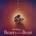 1991   Beauty and the Beast is a 1991 American animated musical romantic fantasy film produced by Walt Disney Feature Animation and released by Walt Disney Pictures.