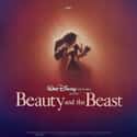 Beauty and the Beast on Random Best Princess Movies