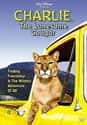 Charlie, the Lonesome Cougar on Random Best 1960s Family Movies