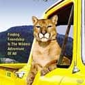Charlie, the Lonesome Cougar on Random Best Disney Movies Starring Cats