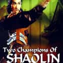 Sword Masters: Two Champions of Shaolin on Random Best Martial Arts Movies Streaming on Netflix