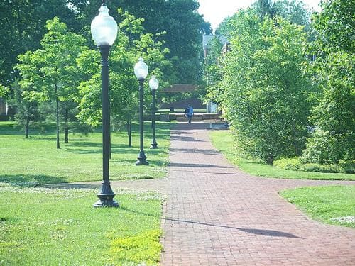 The 50+ Best Colleges for B Students, Ranked