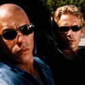 The Fast and the Furious on Random Action Movies On Netflix That Are Just Right For A Saturday Afternoon