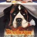 Beethoven on Random Best Movies About Thanksgiving