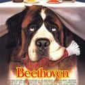 Beethoven on Random Best Comedies Rated PG