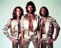 Bee Gees on Random Top Pop Artists of 1960s
