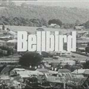 Bellbird