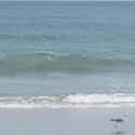 Belmar on Random Best U.S. Beaches for Surfing