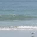 Belmar on Random Best U.S. Beaches for Surfing
