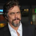 Benicio del Toro on Random Famous People Who Never Married
