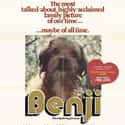 Benji on Random Greatest Dog Movies