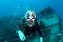 Bermuda on Random Best Countries for Scuba Diving