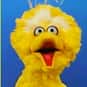 Big Bird is listed (or ranked) 10 on the list The Greatest Bird Characters of All Time