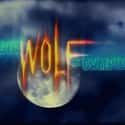 Big Wolf on Campus on Random Best Action Horror Series