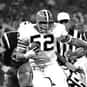 Billy Andrews is listed (or ranked) 47 on the list The Best Cleveland Browns Linebackers of All Time