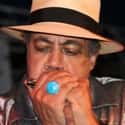 Billy Branch on Random Best Chicago Blues Bands/Artists