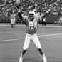 Billy Johnson is listed (or ranked) 26 on the list The Best Tennessee Titans Wide Receivers of All Time
