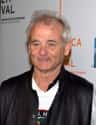 Bill Murray on Random Celebrities Whose Deaths Will Be the Biggest Deal