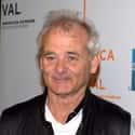 Bill Murray on Random Famous Men You'd Want to Have a Beer With