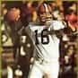Bill Nelsen is listed (or ranked) 33 on the list The Best Pittsburgh Steelers Quarterbacks of All Time