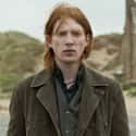 William Weasley on Random Luckiest Characters In ‘Harry Potter’ Film Franchis