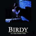 Birdy on Random Best Movies About PTSD