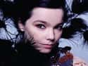 Björk on Random Best Electronica Artists