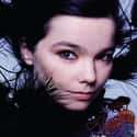 Björk on Random Greatest Chick Rock Bands
