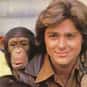 Greg Evigan, Eric Server, Linda McCullough   B. J. and the Bear is an American comedy series which aired on NBC from 1979 to 1981. Created by Glen A. Larson and Christopher Crowe, the series stars Greg Evigan and Claude Akins.