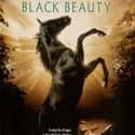 Black Beauty on Random Greatest Animal Movies