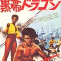 Black Belt Jones on Random Best Kung Fu Movies of 1970s