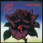 Black Rose: A Rock Legend is listed (or ranked) 15 on the list Famous Albums Produced by Tony Visconti