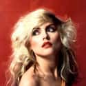 Blondie on Random Best Pop Artists of 1980s