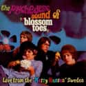 Blossom Toes on Random Best Psychedelic Pop Bands/Artists