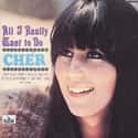 All I Really Want to Do on Random Best Cher Albums