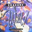 Wild! on Random Best Erasure Albums