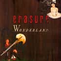 Wonderland on Random Best Erasure Albums