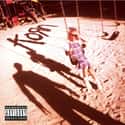 The Vinyl Classics on Random Best Korn Albums
