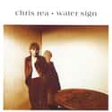 Water Sign on Random Best Chris Rea Albums