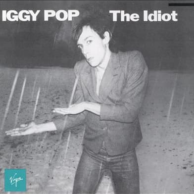 All Iggy Pop Albums, Ranked Best To Worst By Music Fans