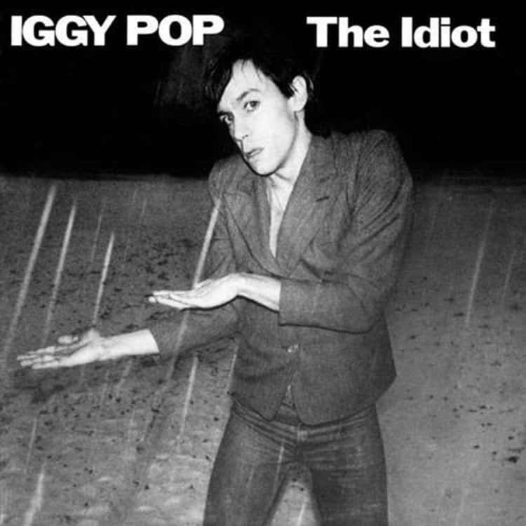 Manhattan koud revolutie The Greatest Iggy Pop Albums Ever, Ranked By Fans