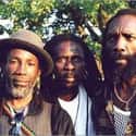 Knowledge on Random Best Roots Reggae Bands/Artists