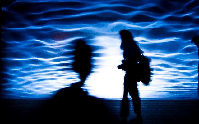 The Best Thin Lizzy Albums, Ranked By Fans